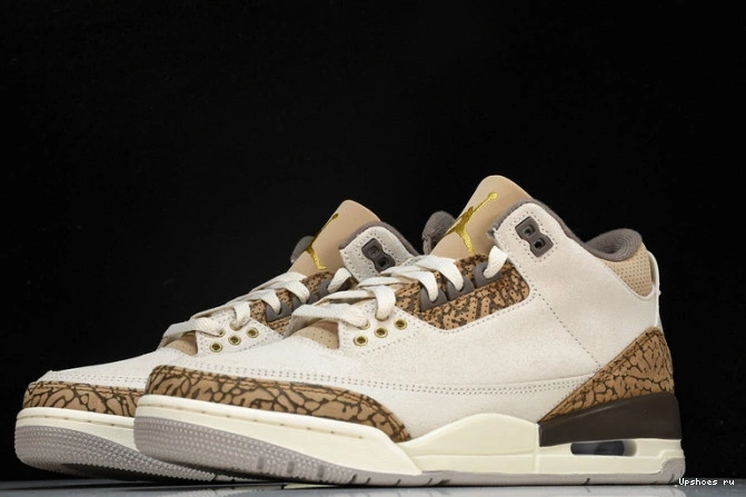   CT8532-102 Palomino Jordan 3 Retro 0323